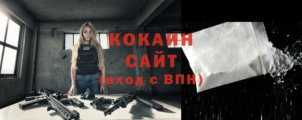 ГАЛЛЮЦИНОГЕННЫЕ ГРИБЫ Новозыбков