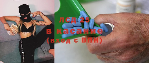 ГАЛЛЮЦИНОГЕННЫЕ ГРИБЫ Новозыбков