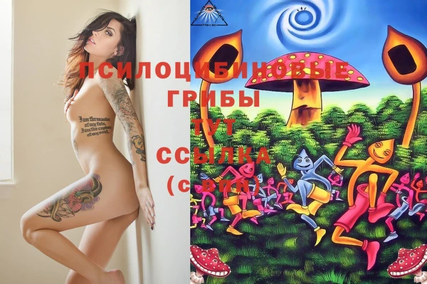 ГАЛЛЮЦИНОГЕННЫЕ ГРИБЫ Новозыбков