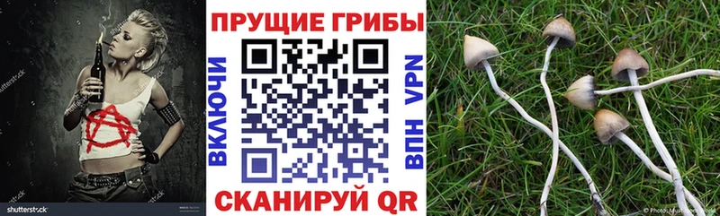 Псилоцибиновые грибы ЛСД  Приморско-Ахтарск 